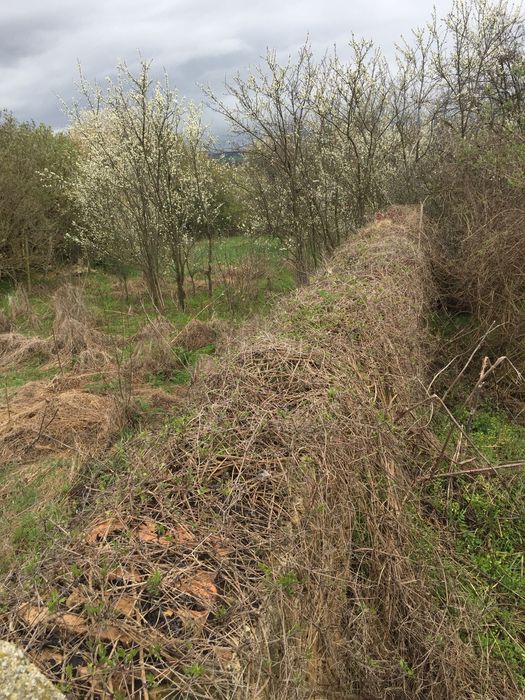 Продава се Парцел в с. Беджене, Област Шумен - 800 кв.м за 4 €/кв.м - Снимка #5