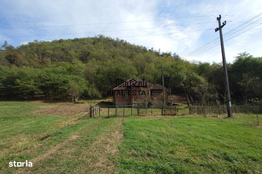 Teren, padure si casa in Dumbrava de Jos, jud. Hunedoara