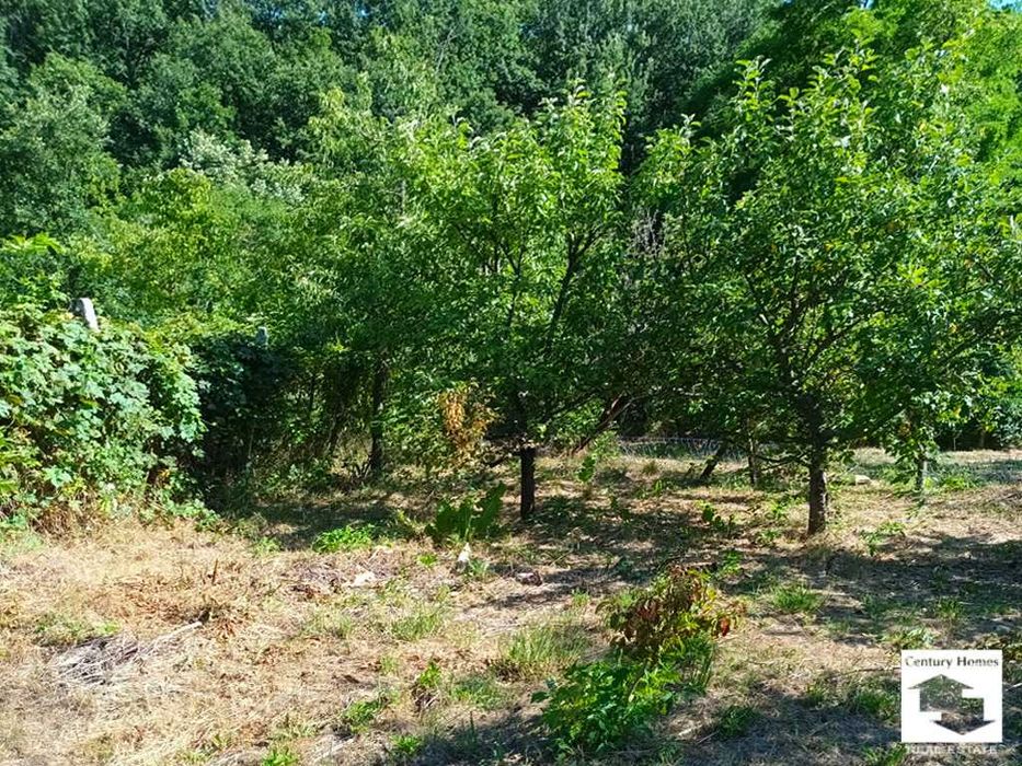 Продава се Къща в с. Буковец, Област Велико Търново - 25 кв.м за 980 €/кв.м - Снимка #6