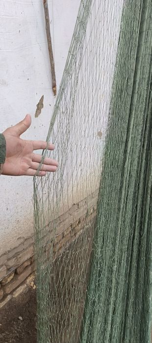 Baliq ovlash uchun ohon