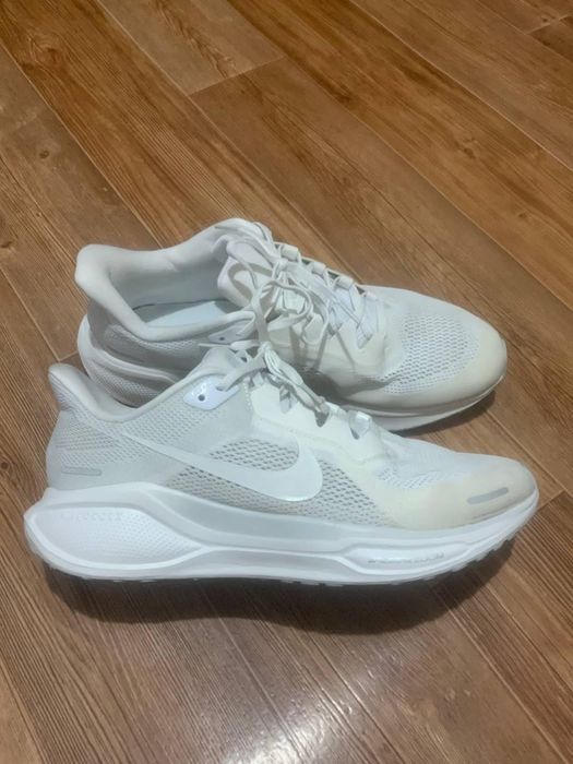 Air zoom pegasus 41