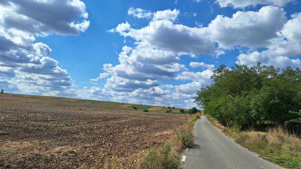TEREN INTRAVILAN 20.800 MP | Pe malul lacului | Naipu – Giurgiu | 9 €/MP