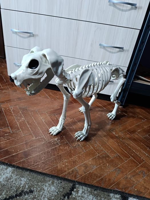 Скелет на голямо куче за Хелоуин