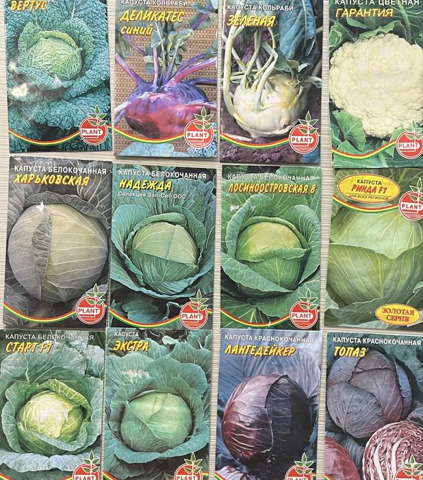 Семена  капуста, морковь , тыква, зелень