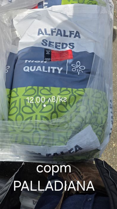 Люцерна семе.Семена люцерна
