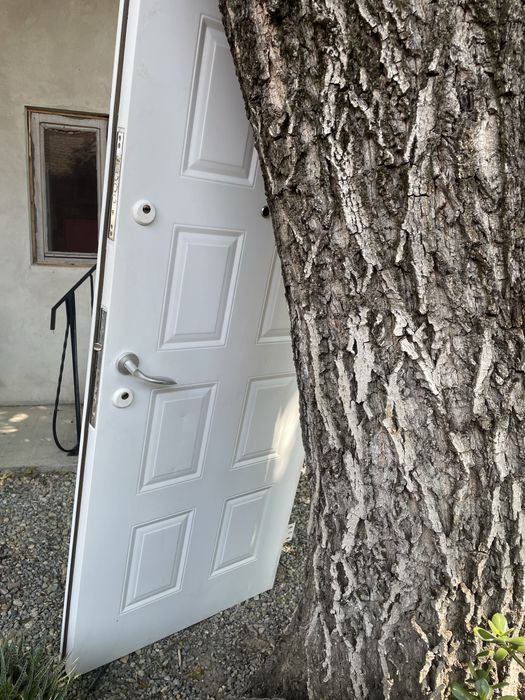 Vand usa metalica alba FARA TOC