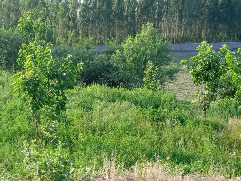 Ер участка богдорчилик ва дехкончилик учун 25 сотих Туйтепада