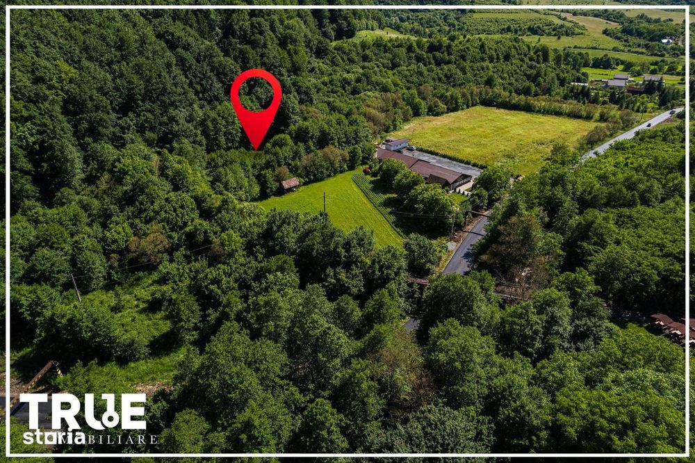Teren intravilan 2.800 m² în Câmpu Cetății – liniște și natură