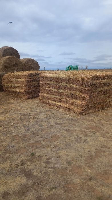 Камыс плитка стройматериалы