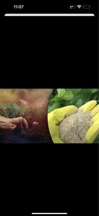 Костная мука удобрения