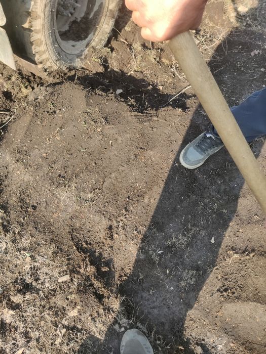 Огород и Сад чернозем