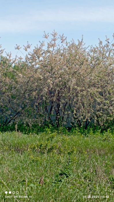 Продам дом с участком, район Акжар 2.