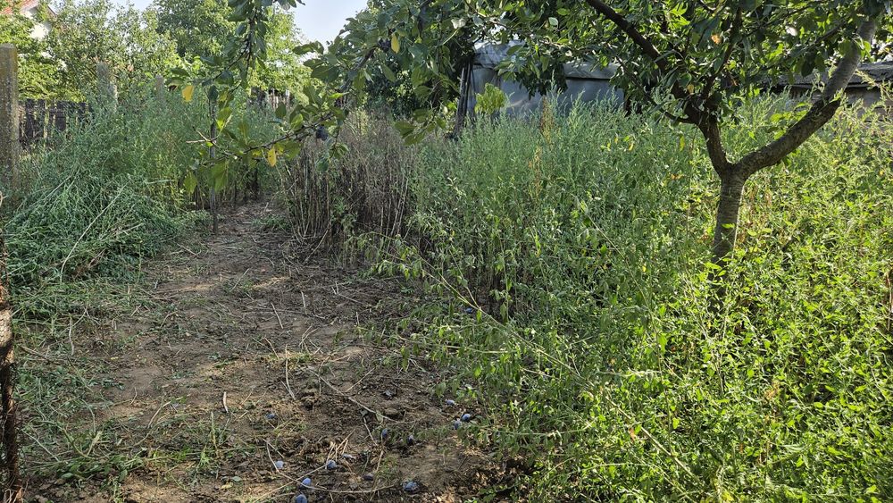 Имот гр. Дулово ,ЕТАЖ от къща с двор, гараж, градина