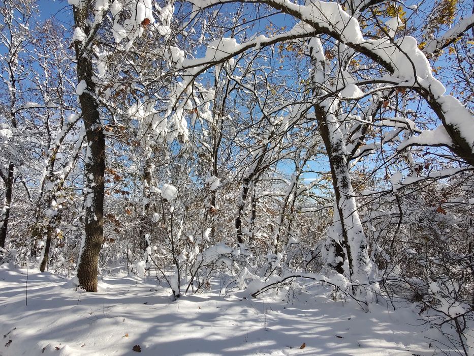 Парцел с къща с.Шума