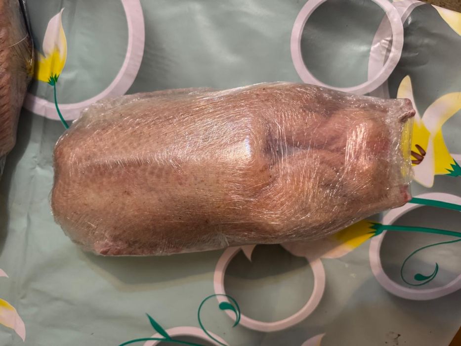 Гусь   домашний.