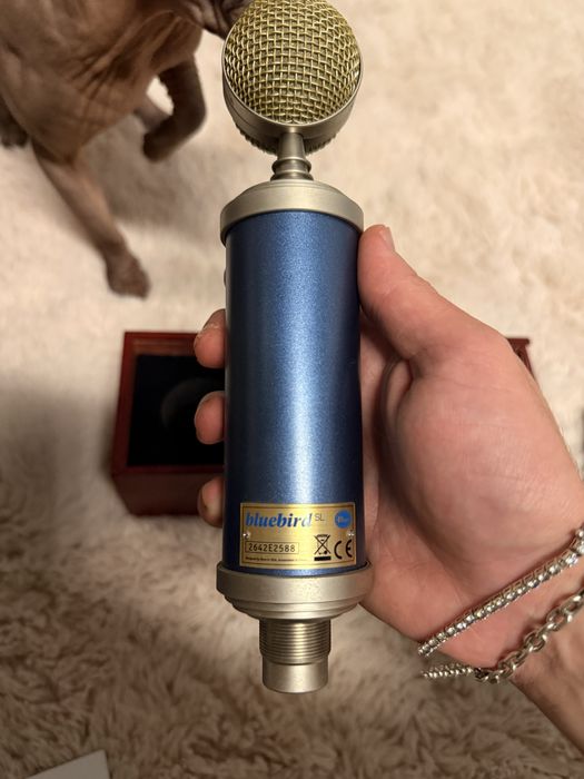 Microfon studio bluebird sl