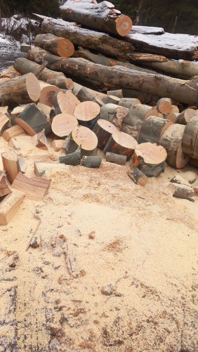 Vând Lemne de foc fag crepatura sau rotunde groase avem și raritura !