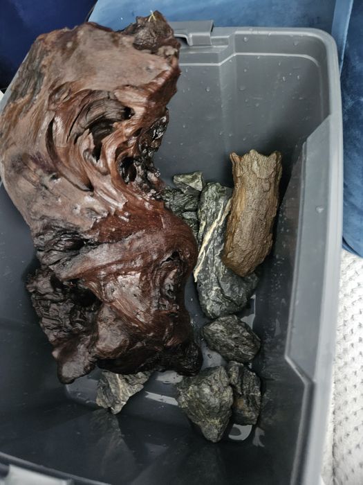 Vand cioata lemn acvariu sau schimb cu diverse acvaristica