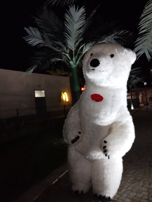 Гигантско Бяло мече за изненади