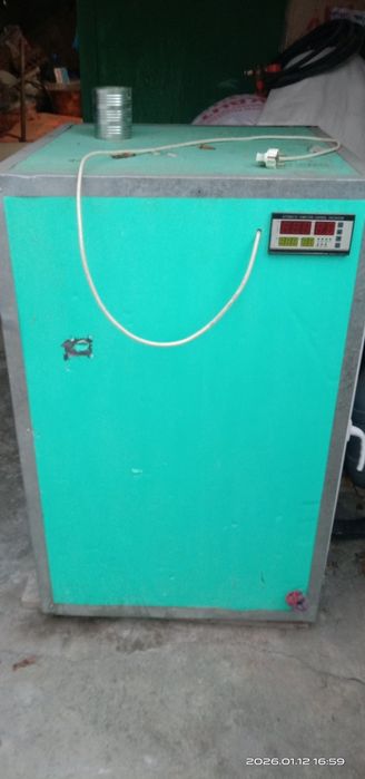 Инкубатор. Инкубатор.