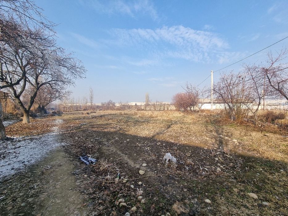 1300$ dan 10sotix chek