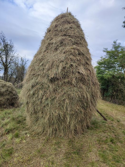Vând 4 clăi de fîn