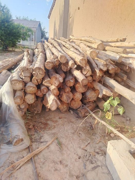 tosin sotiladi arzon