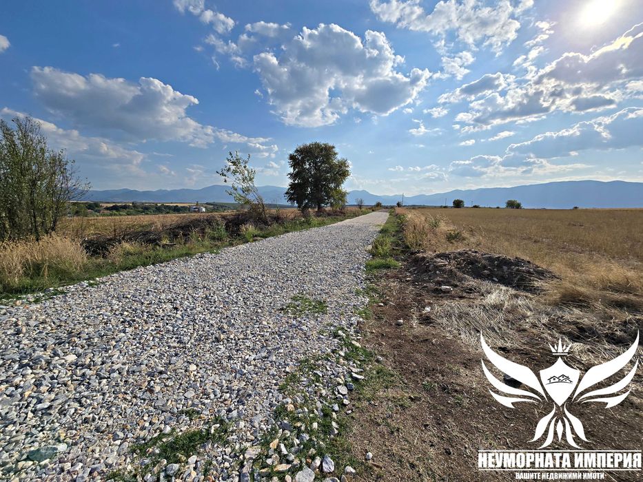 Продавам земя 24.5 декара засята със сливови дръвчета в с.Нови Извор