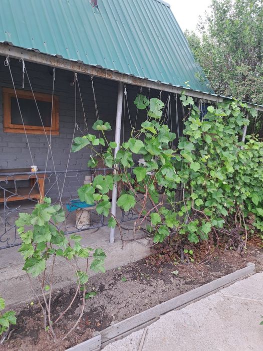 Продам дачу на мирном