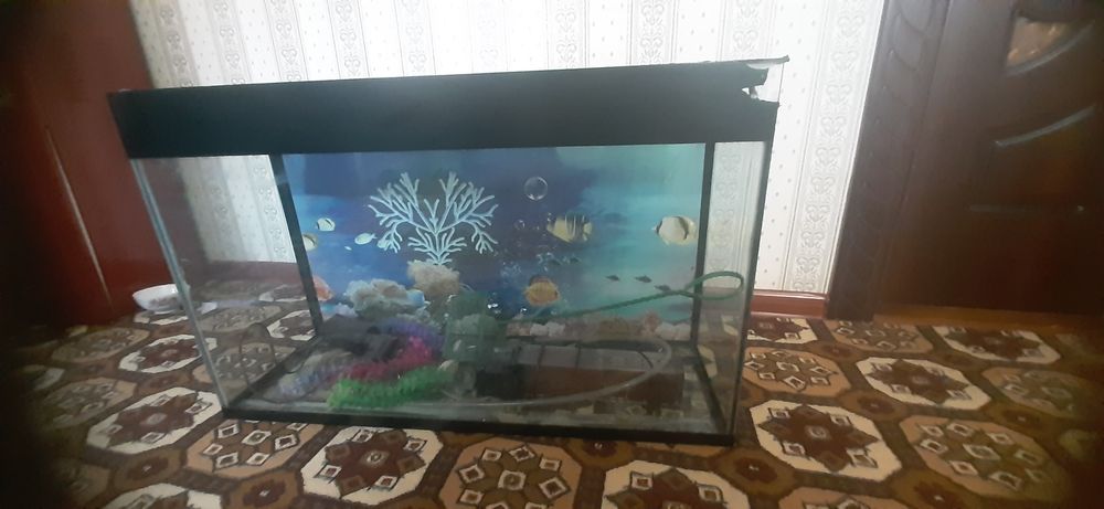 Продаётся аквариум