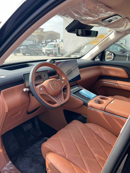 VOYAH Taishan Max Plus Pozitsiyada