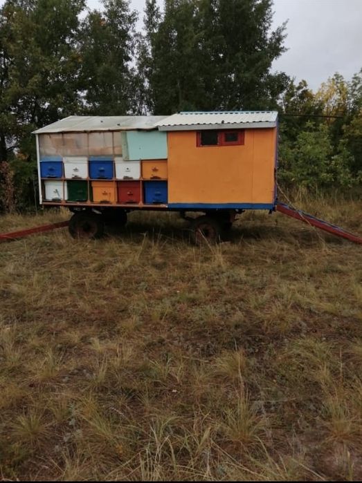 Пасека на 20 ульев