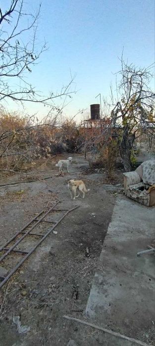 Участок сотилади 9 сот, фасад 18 м, Бектемирский район, ориентир РОВД