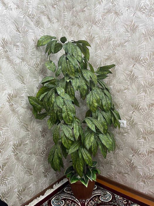 Дерево искусственная, Авто багаж, Телевизор, Винтелятор, Кресло