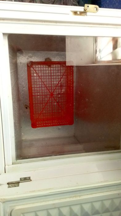 Маразилник сотилади