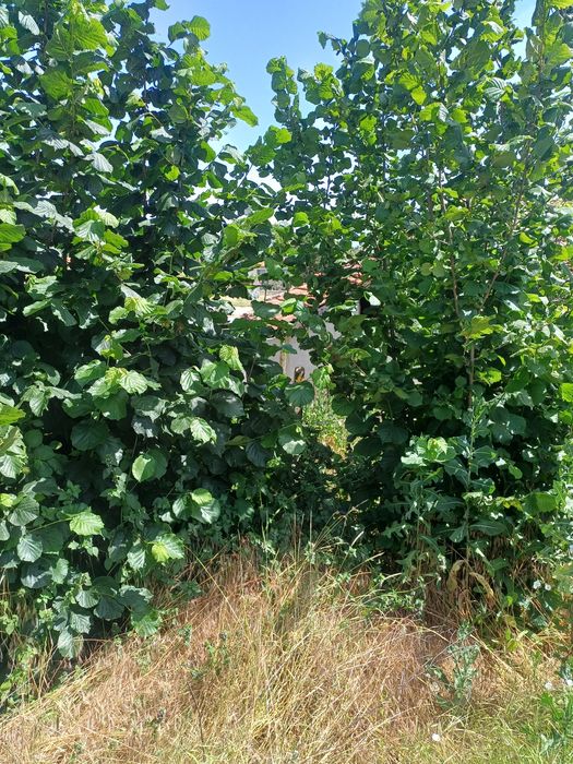 Продава се Къща в Шумен, Еверест - 112 кв.м за 150 €/кв.м - Снимка #17