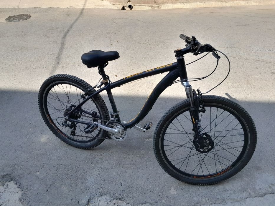 Velosiped ideal mazza qilib minasila