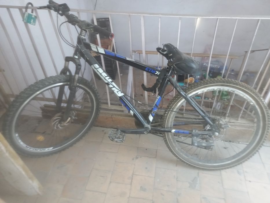 Velik sotiladi xolati yaxshi