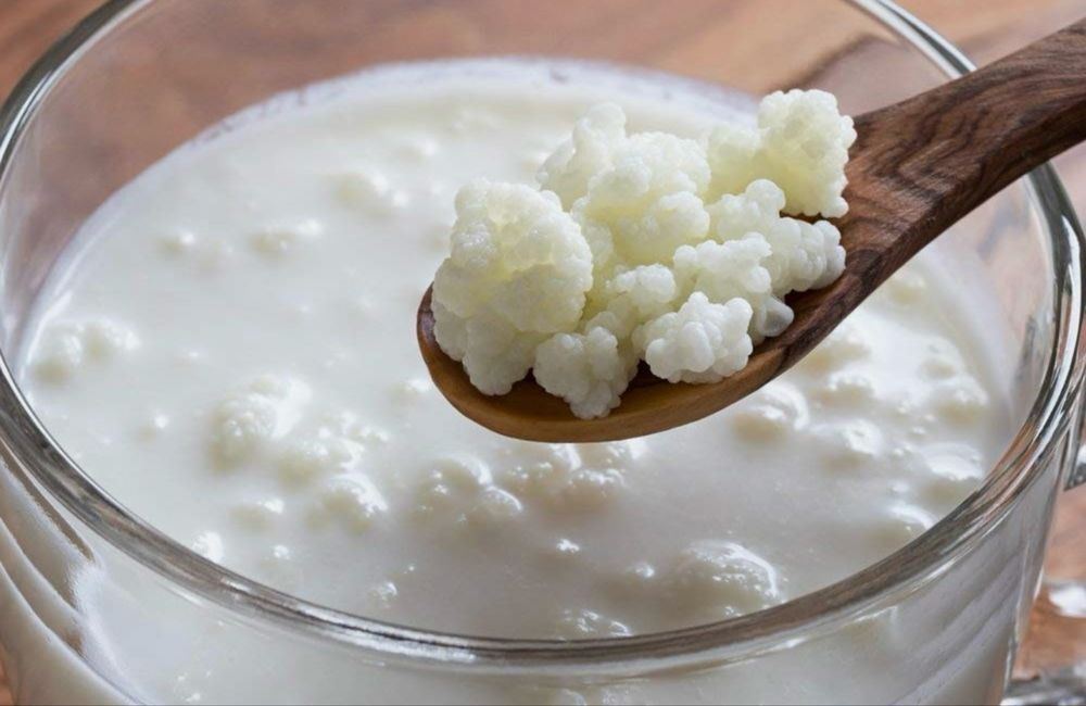 Vand ciuperca de kefir