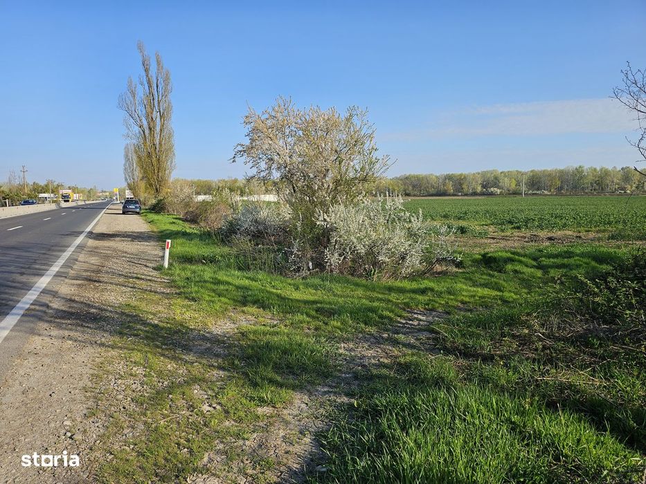 10.100Mp Teren Construcții Intravilan Potigrafu, Deschidere 31M La Dn1