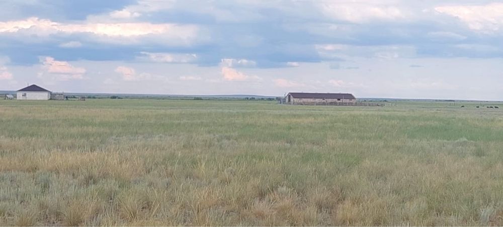 Сатылымда қожалық.