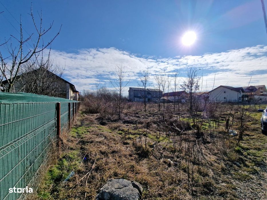 Auchan-Teren intravilan 1250mp