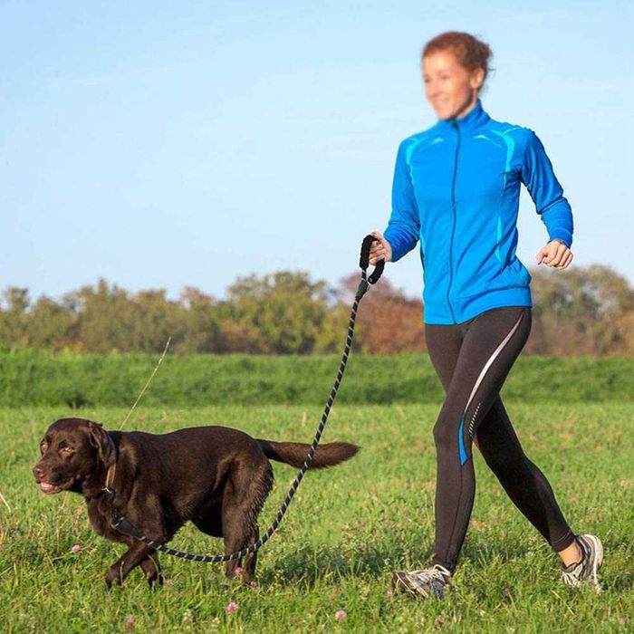 Повод за куче EASTLION, 1,5 метра, светлоотразителен, супер здрав