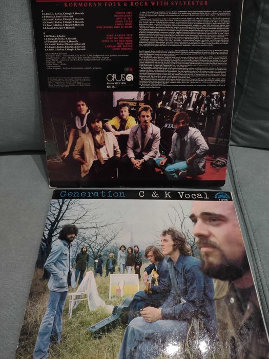 Viniluri muzica Rock &Folk veche stare foarte bună