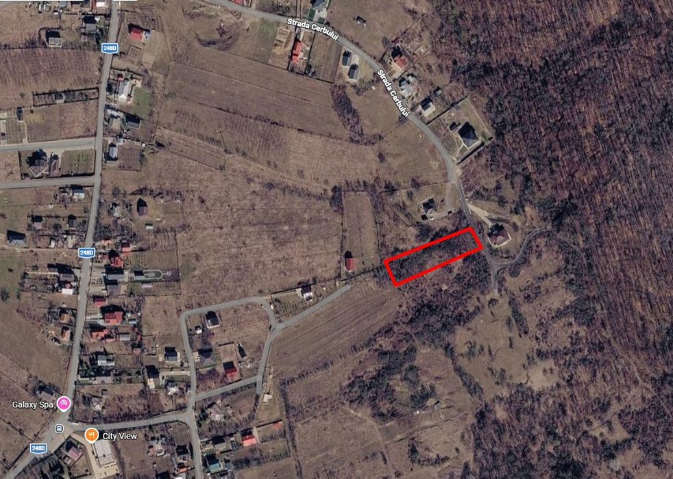 Teren intravilan 3.000 mp în Păun – utilități la poartă, lângă pădure