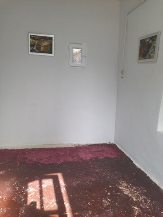 Uysotilad srochna
