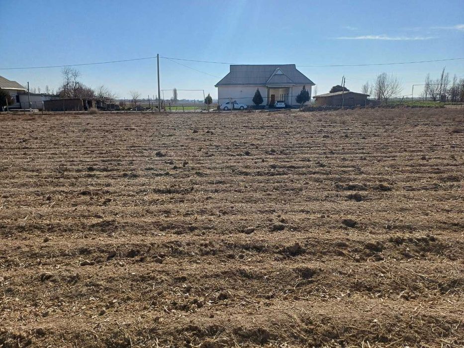 20 so‘tixdan iborat yer sotiladi