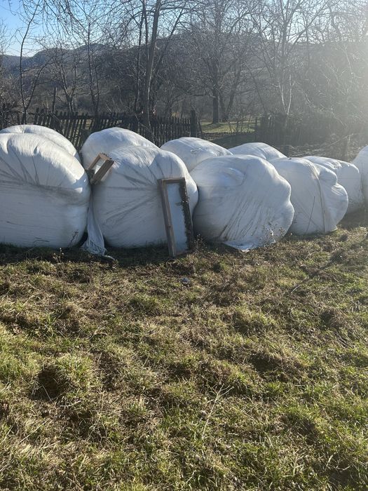 Vand 10 baloți infoliați