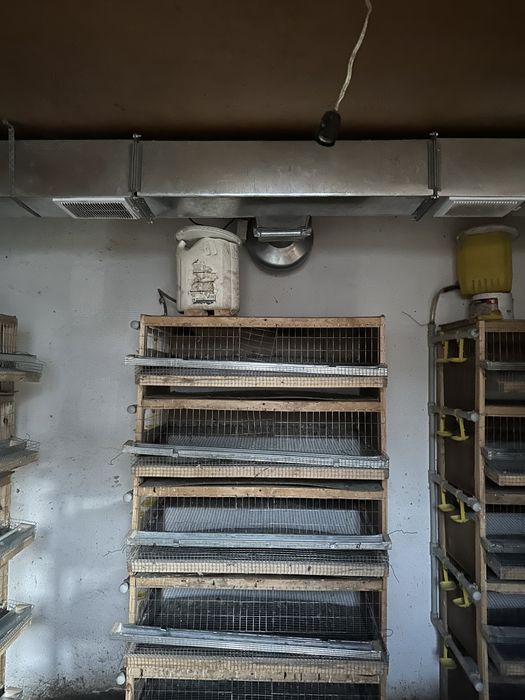 Клетка для перепелов