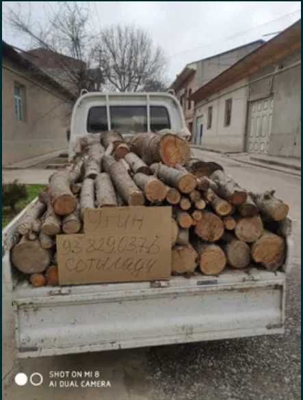 Утин сотилади Лабода, доставка